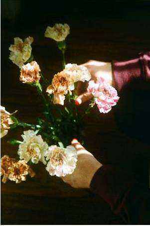Floral installation detail